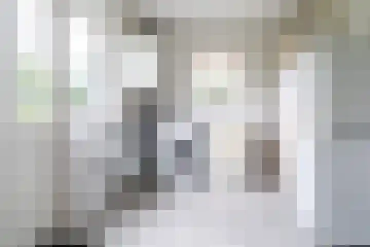 Haadwei 2 Damwâld thumbnail 20