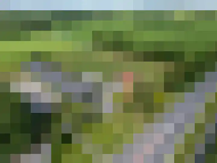 Haadwei 2 Damwâld foto 3