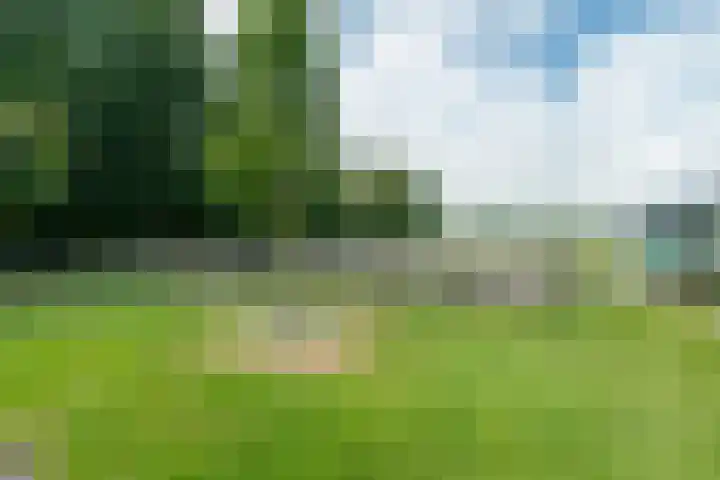 Haadwei 2 Damwâld thumbnail 39