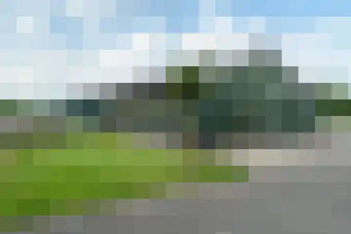 Haadwei 2 Damwâld thumbnail 4