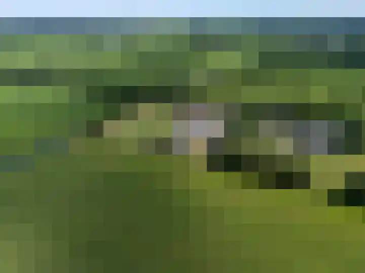 Haadwei 2 Damwâld thumbnail 40