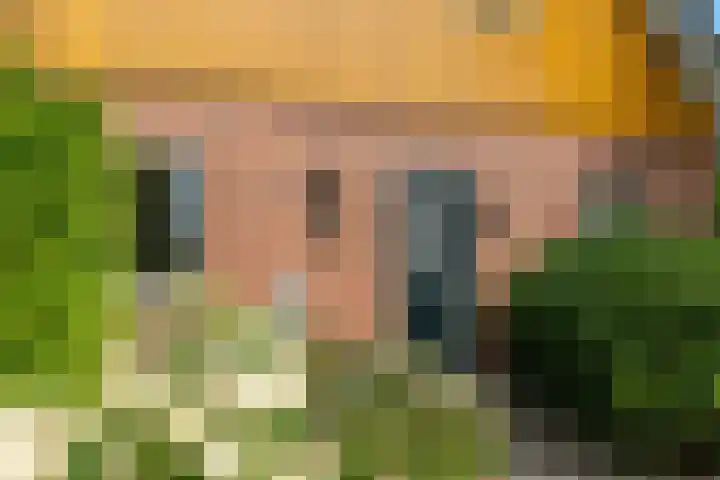 Haadwei 2 Damwâld thumbnail 41