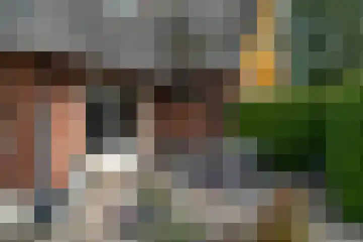 Haadwei 2 Damwâld thumbnail 42