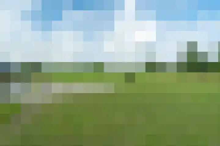 Haadwei 2 Damwâld thumbnail 44