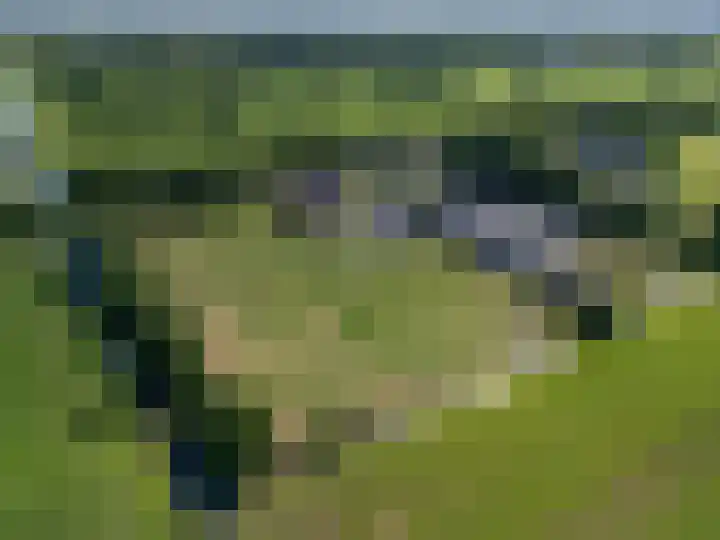 Haadwei 2 Damwâld thumbnail 47