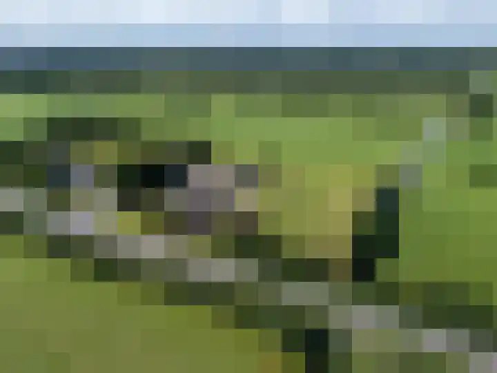 Haadwei 2 Damwâld thumbnail 5