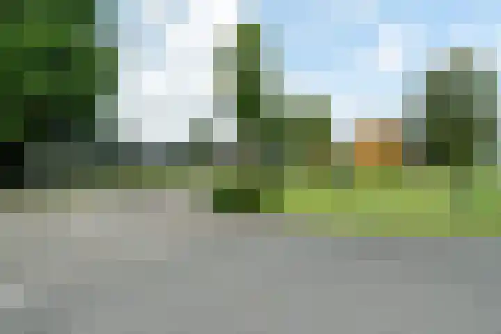 Haadwei 2 Damwâld thumbnail 6