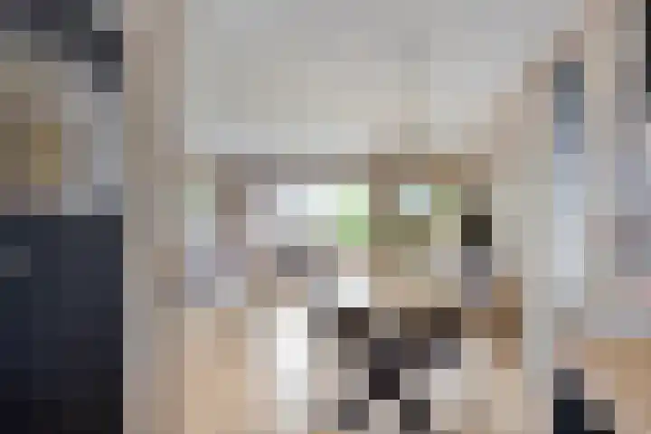 Haafakker 59 Leuth thumbnail 13
