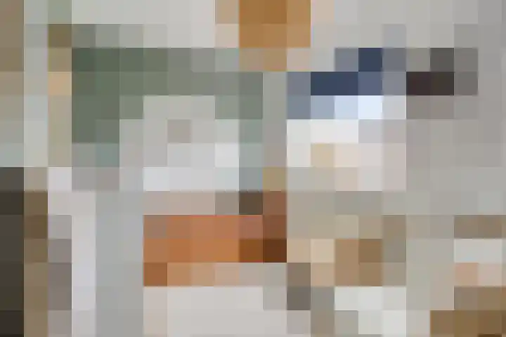 Haafakker 59 Leuth thumbnail 18
