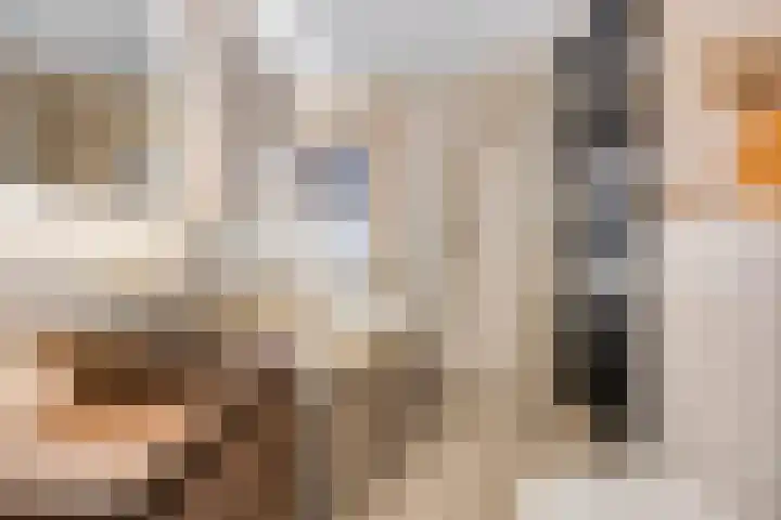 Haafakker 59 Leuth thumbnail 19
