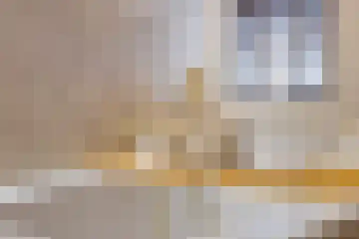 Haafakker 59 Leuth thumbnail 21