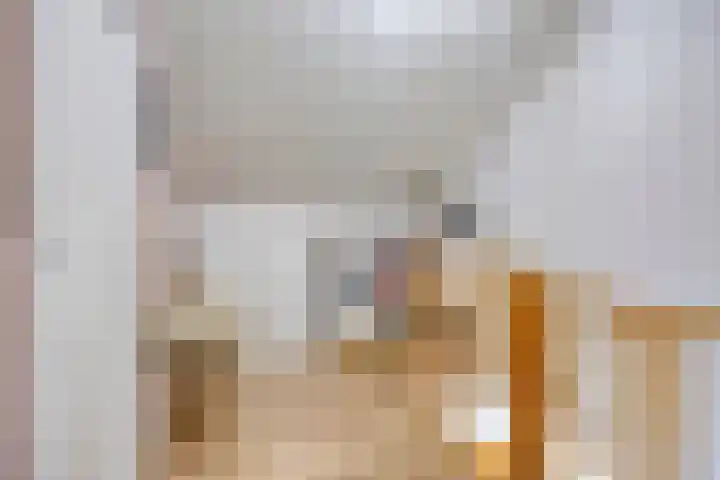 Haafakker 59 Leuth thumbnail 23