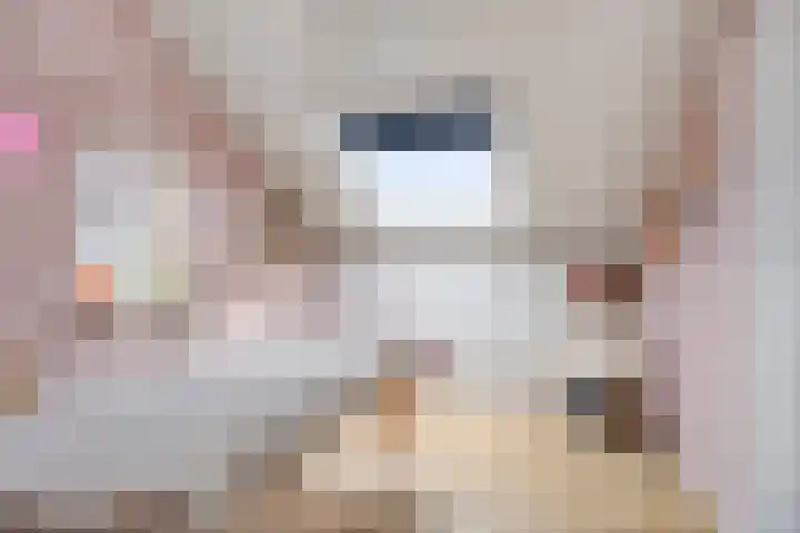 Haafakker 59 Leuth thumbnail 25