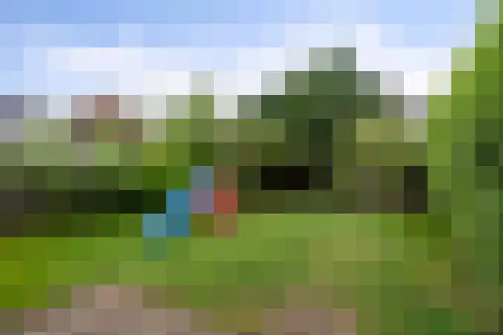 Haafakker 59 Leuth thumbnail 26