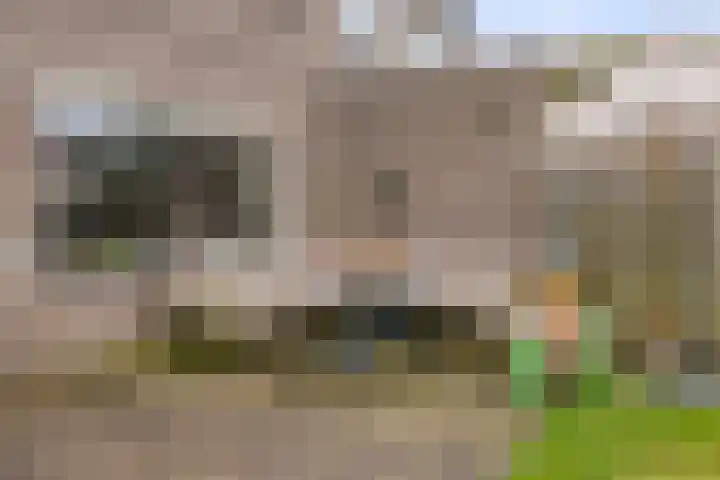 Haafakker 59 Leuth thumbnail 27