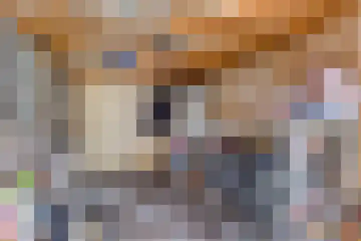Haafakker 59 Leuth thumbnail 28