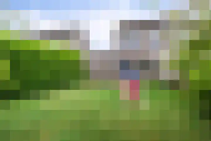 Haafakker 59 Leuth thumbnail 29