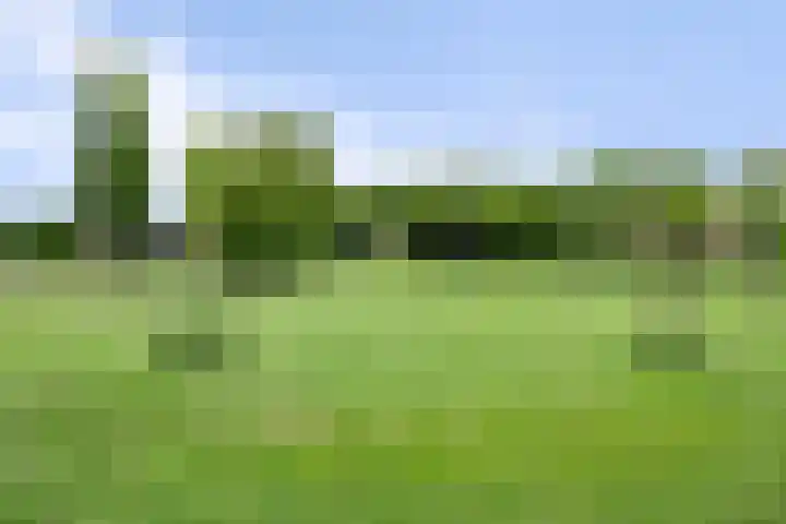 Haafakker 59 Leuth thumbnail 30