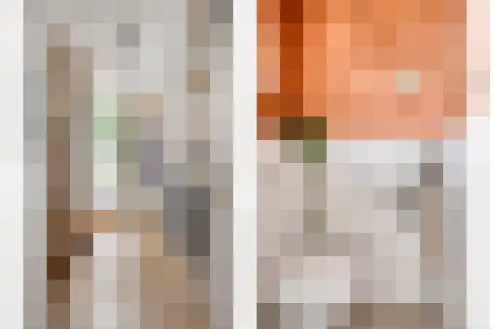 Haafakker 59 Leuth thumbnail 4