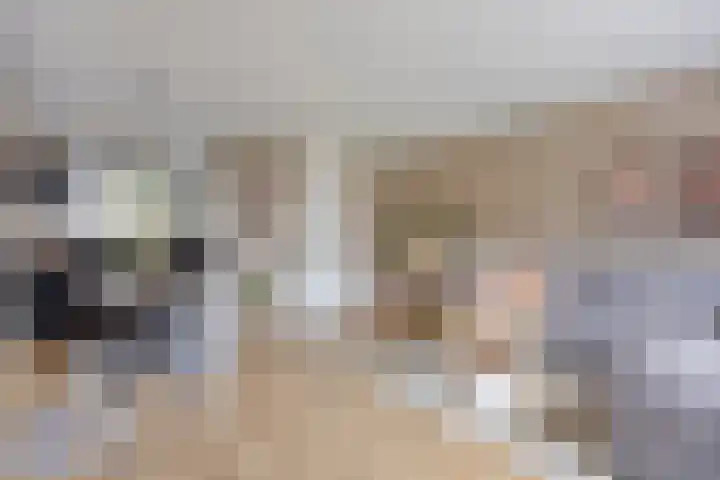 Haafakker 59 Leuth thumbnail 6
