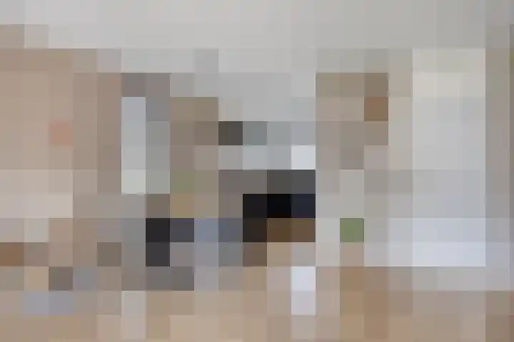 Haafakker 59 Leuth thumbnail 7