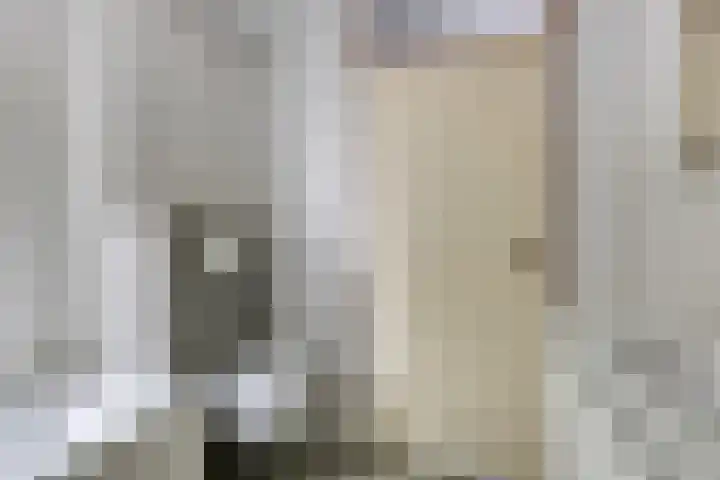 Haafkensborg 2 Maastricht thumbnail 14