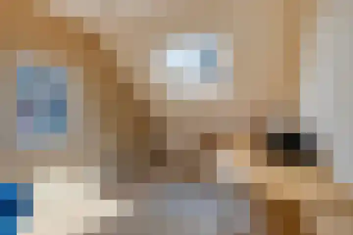 Haafkensborg 2 Maastricht thumbnail 19