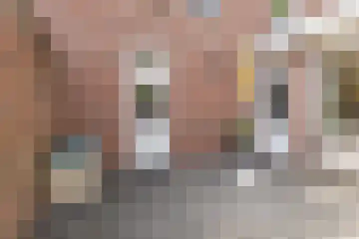 Haafkensborg 2 Maastricht thumbnail 22