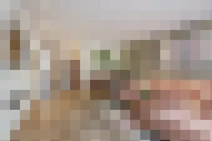 Haagbeemd 41 Eindhoven thumbnail 14