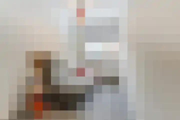Haagbeemd 41 Eindhoven thumbnail 19
