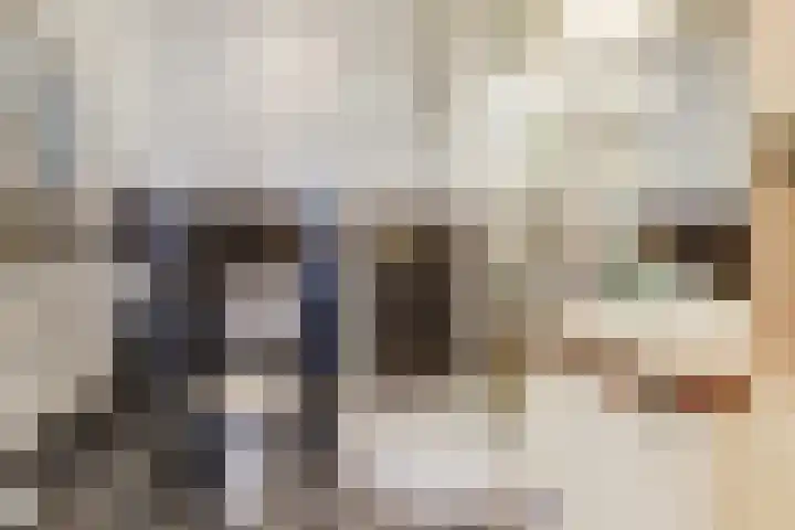 Haagbeemd 41 Eindhoven thumbnail 25
