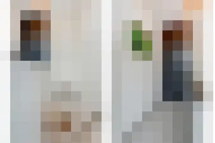 Haagbeemd 41 Eindhoven thumbnail 28