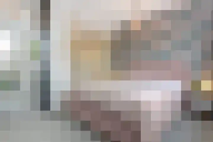 Haagbeemd 41 Eindhoven thumbnail 30