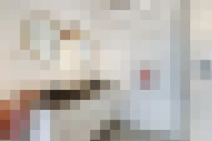 Haagbeemd 41 Eindhoven thumbnail 31