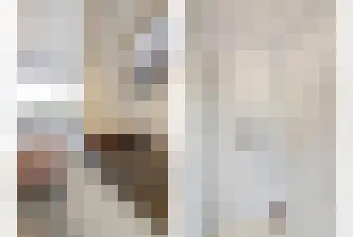 Haagbeemd 41 Eindhoven thumbnail 33