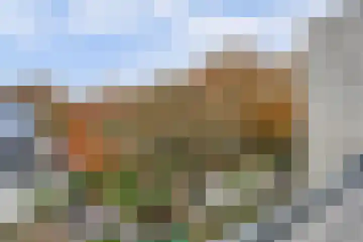 Haagbeemd 41 Eindhoven thumbnail 38