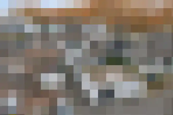 Haagbeemd 41 Eindhoven thumbnail 47