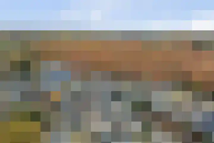 Haagbeemd 41 Eindhoven thumbnail 49