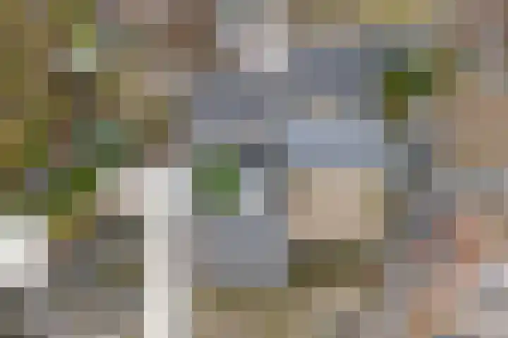 Haagbeemd 41 Eindhoven thumbnail 50