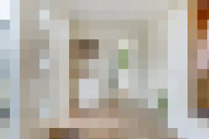 Haagbeemd 41 Eindhoven thumbnail 6
