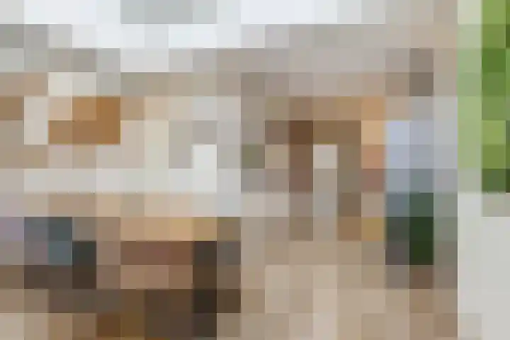 Haagbeemd 41 Eindhoven thumbnail 8