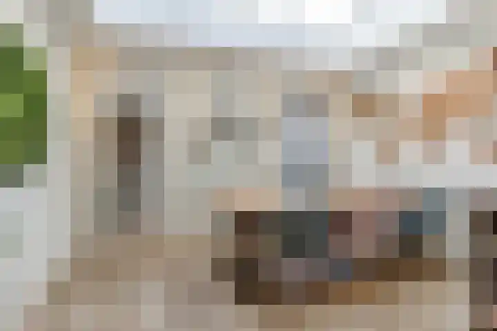 Haagbeemd 41 Eindhoven thumbnail 9