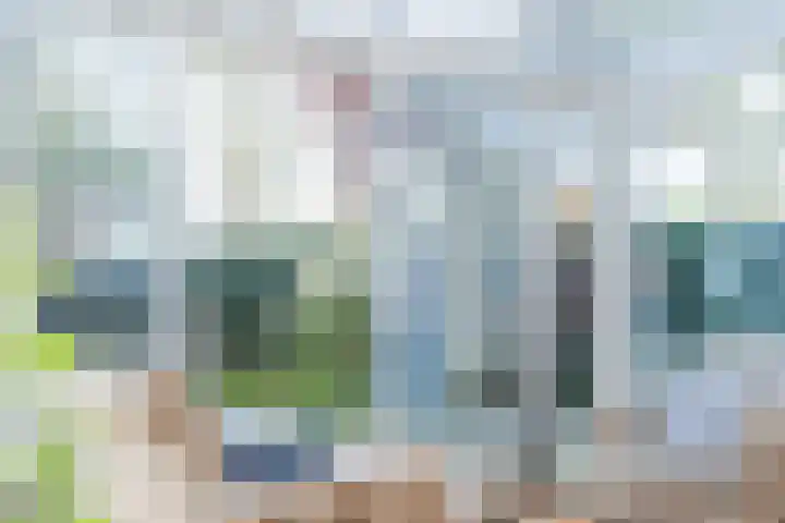 Haagbeemd 51 Eindhoven thumbnail 10