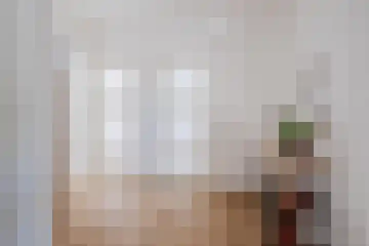Haagbeemd 51 Eindhoven thumbnail 19