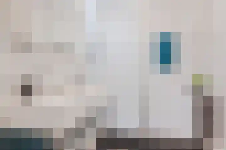 Haagbeemd 51 Eindhoven thumbnail 29