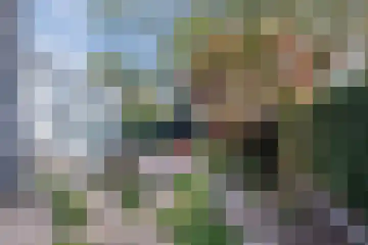 Haagbeemd 51 Eindhoven thumbnail 33