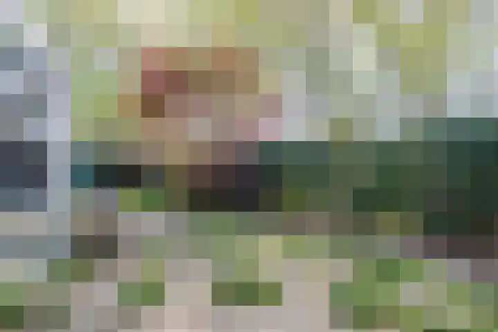 Haagbeemd 51 Eindhoven thumbnail 35