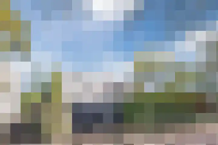 Haagbeemd 51 Eindhoven thumbnail 37