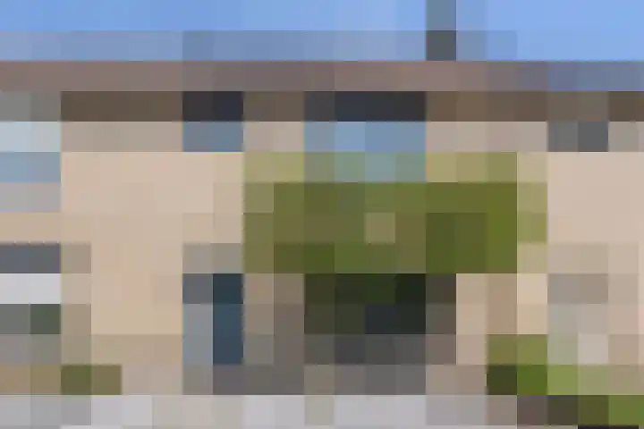 Haagbeuk 8 Best