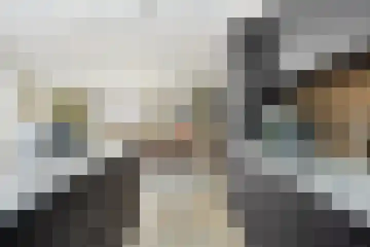 Haagbeuk 8 Best thumbnail 10